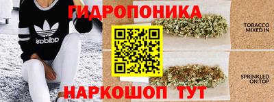 прущие крисы Рязань
