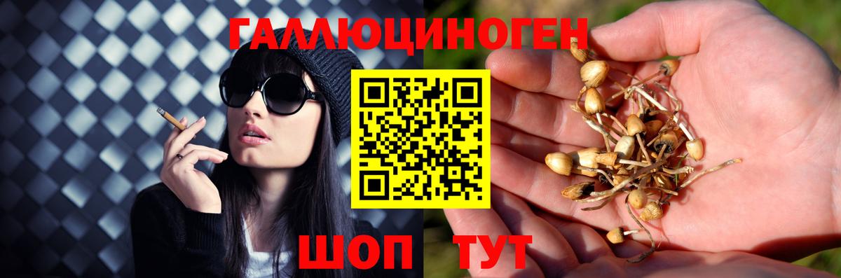 Псилоцибиновые грибы мухоморы  Псилоцибиновые грибы Psilocybe  Сегежа  продажа наркотиков  Вход с VPN 